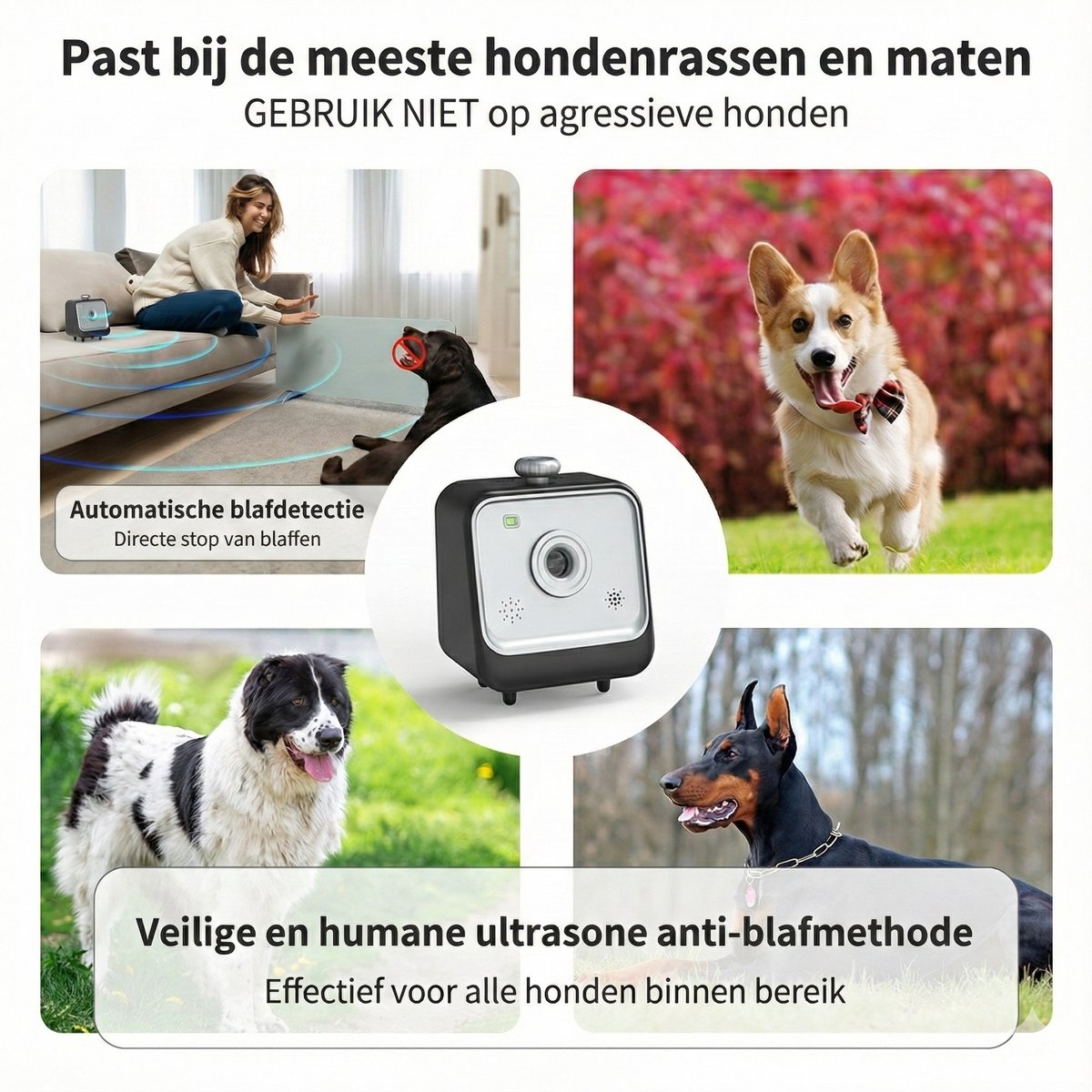 OPTIMERA® premium anti blaf apparaat past bij de meeste hondenrassen en maten – veilige ultrasone anti-blafmethode voor diverse rassen